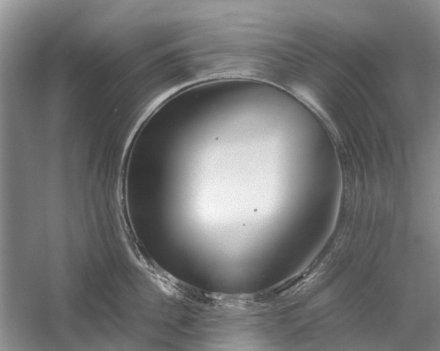 X0000060570956200511171628