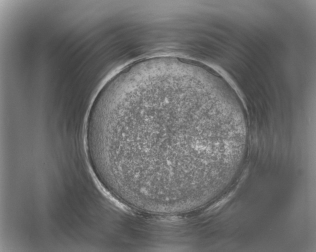 X0000060570957200511171628