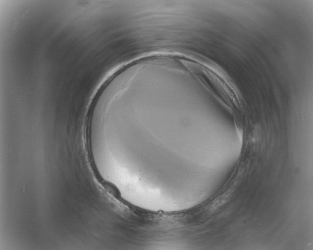 X0000060570958200511171628