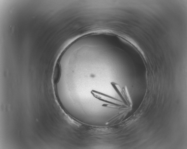 X0000060570959200511171628