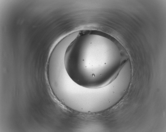 X0000060570960200511171628