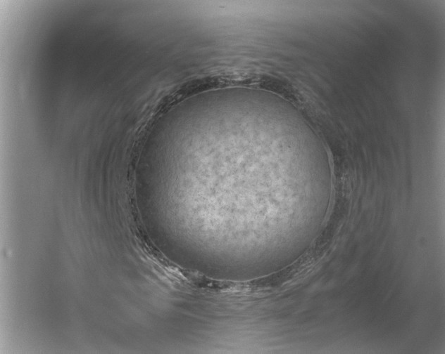 X0000060570961200511171627