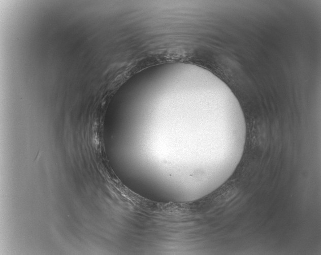 X0000060570962200511171627