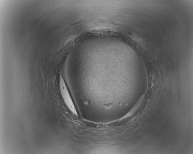 X0000060570965200511171627