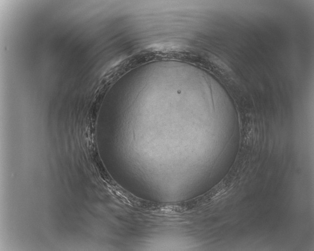 X0000060570966200511171627