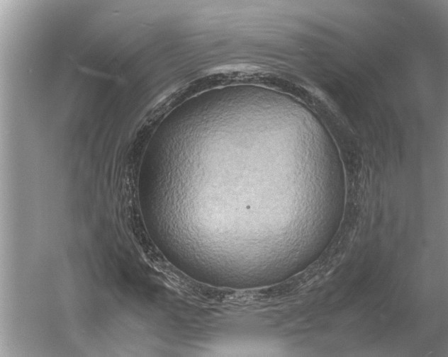 X0000060570967200511171627