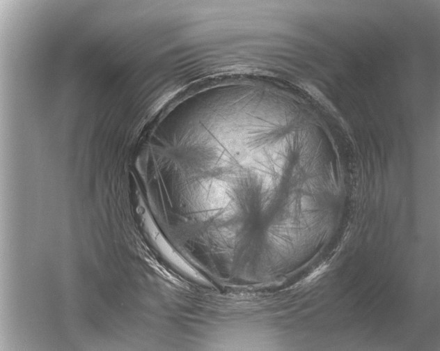 X0000060570969200511171627