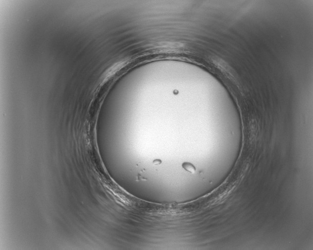 X0000060570970200511171627