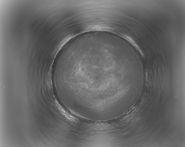 X0000060570972200511171627