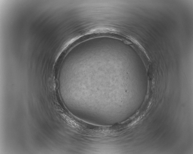 X0000060570973200511171627