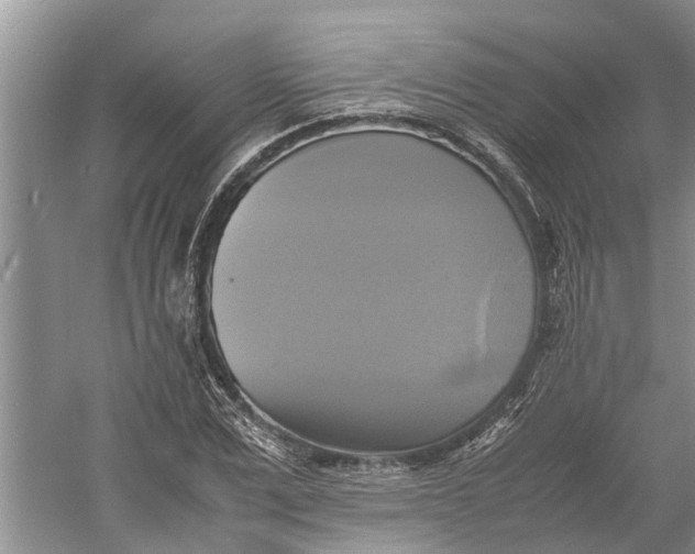 X0000060570975200511171627