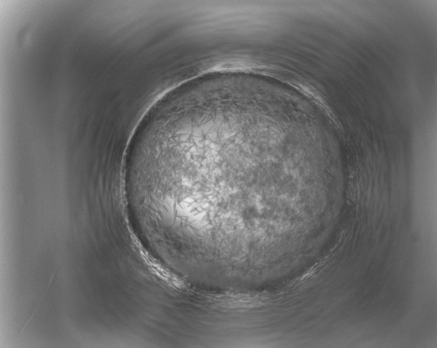 X0000060570976200511171627