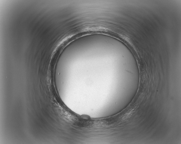 X0000060570979200511171627