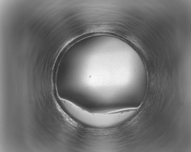 X0000060570980200511171627