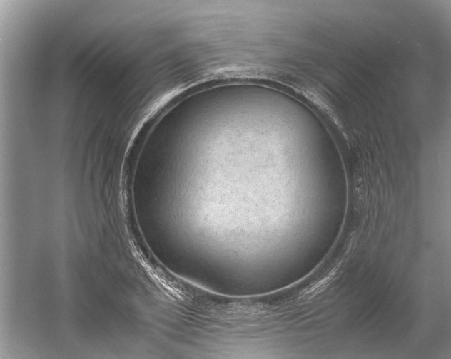 X0000060570981200511171627