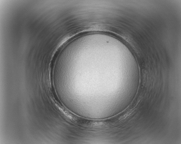 X0000060570982200511171627