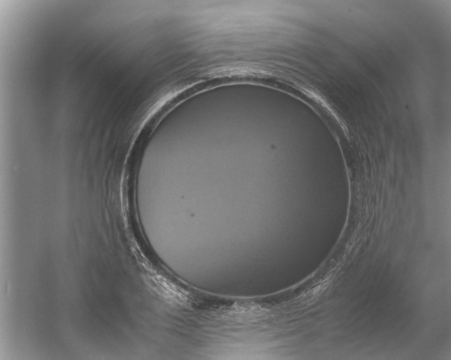 X0000060570983200511171627