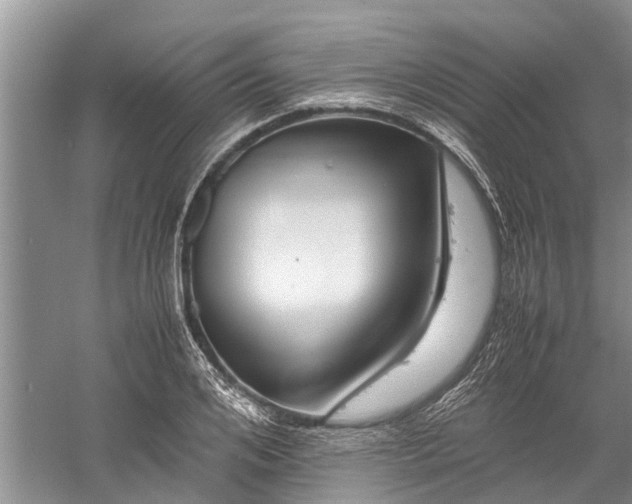 X0000060570984200511171627