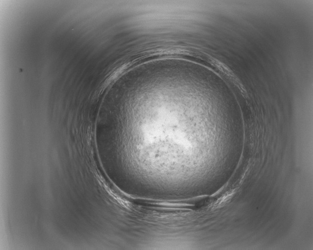 X0000060570985200511171627