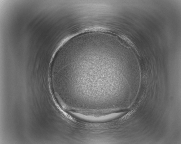 X0000060570989200511171627