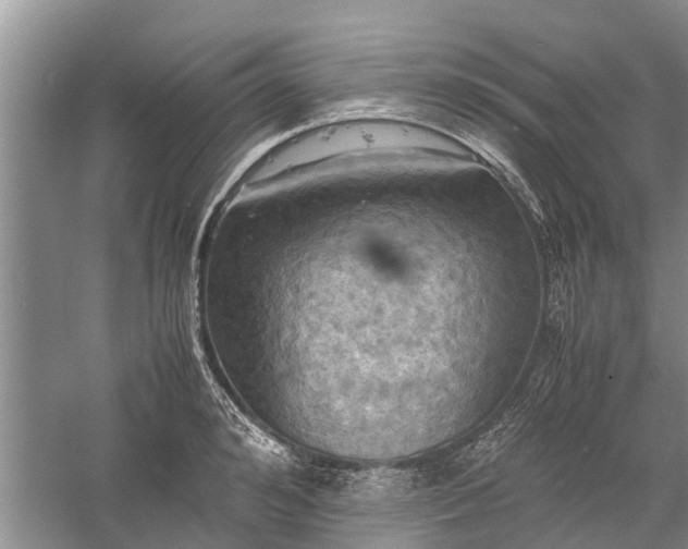 X0000060570992200511171627