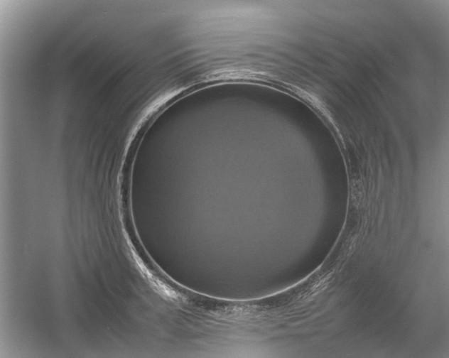 X0000060570995200511171627