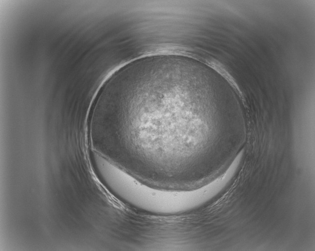 X0000060570996200511171627