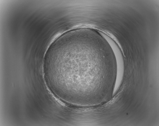 X0000060570997200511171627