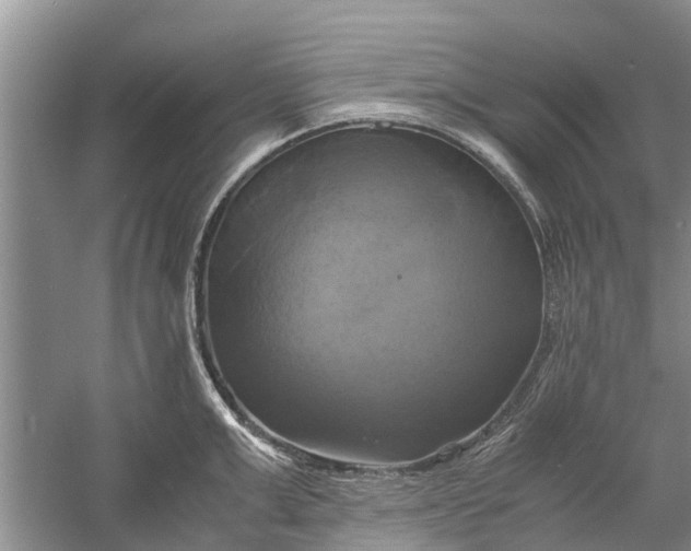 X0000060570999200511171626