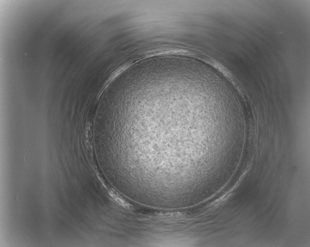 X0000060571001200511171626