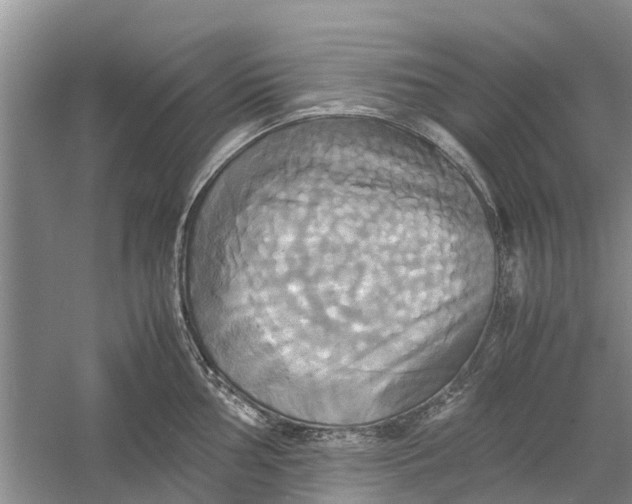 X0000060571002200511171626