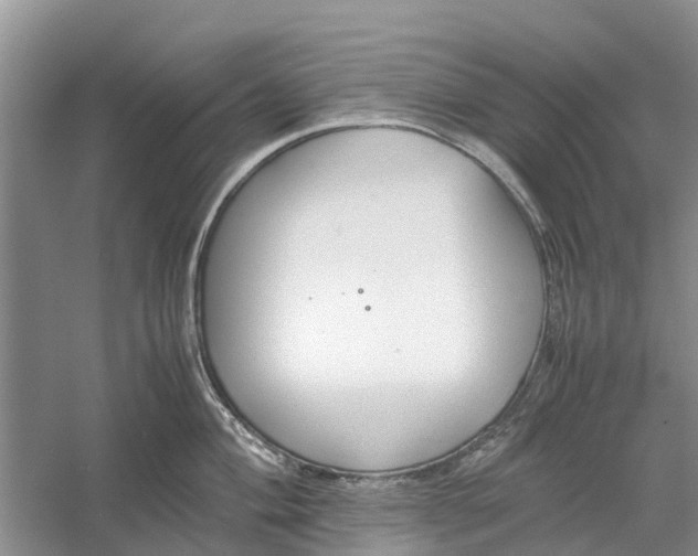 X0000060571004200511171626