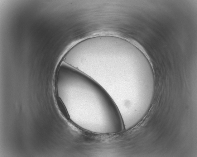 X0000060571005200511171626