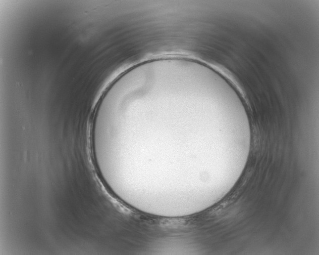 X0000060571006200511171626