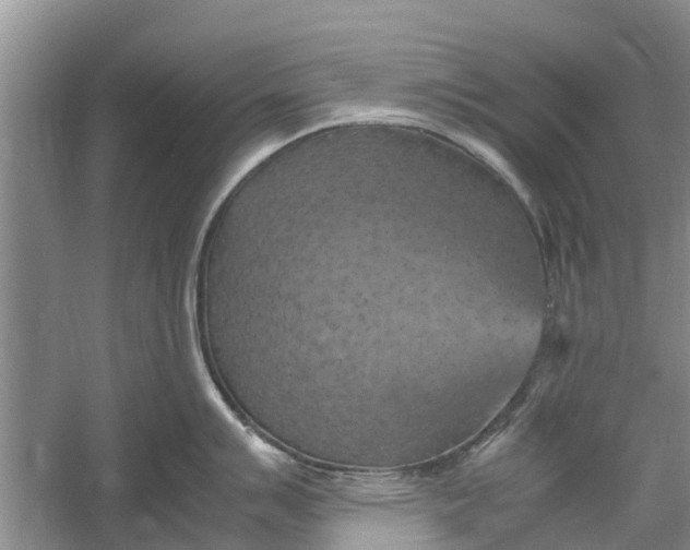 X0000060571007200511171626