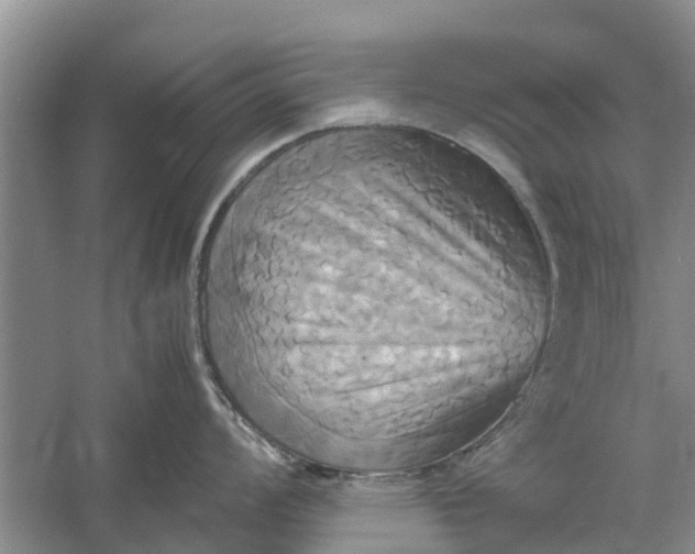 X0000060571008200511171626