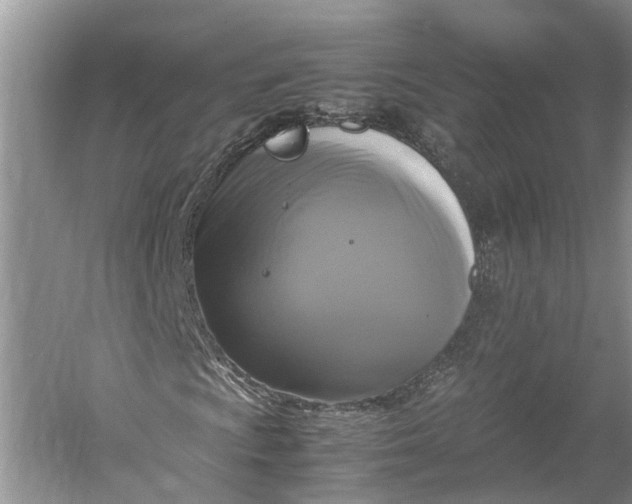 X0000060571009200511171626