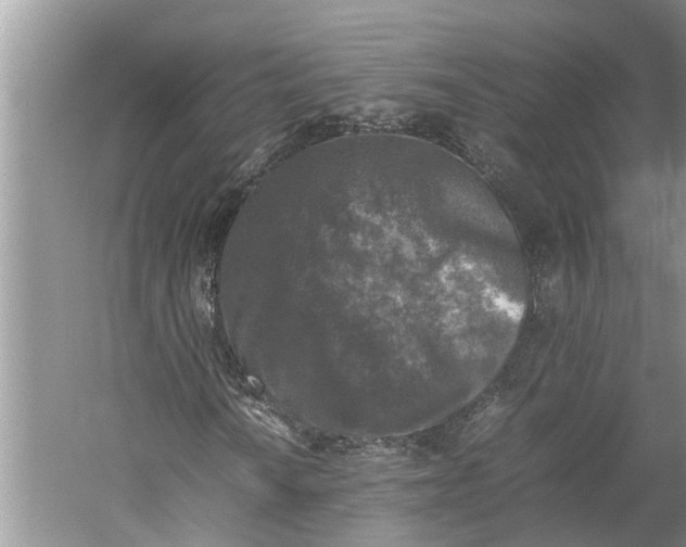 X0000060571010200511171626