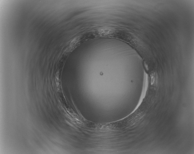 X0000060571011200511171626