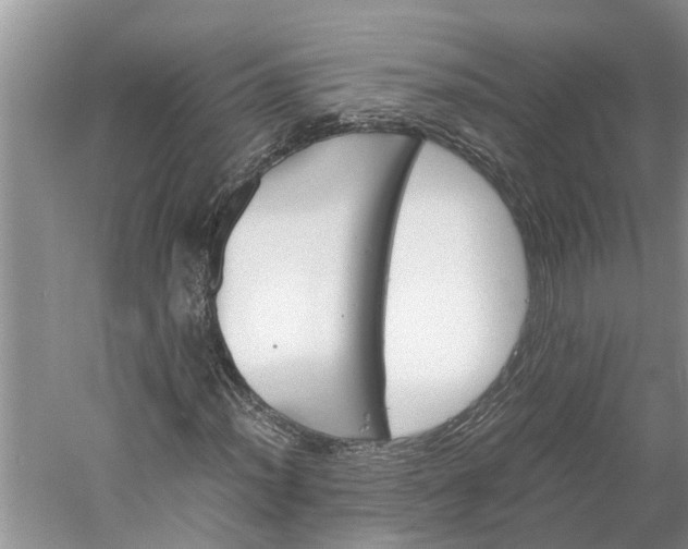 X0000060571012200511171626