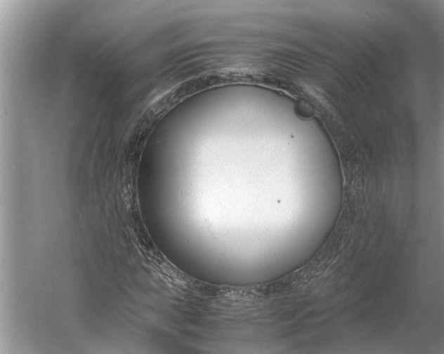 X0000060571015200511171626