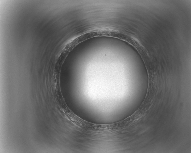 X0000060571016200511171626