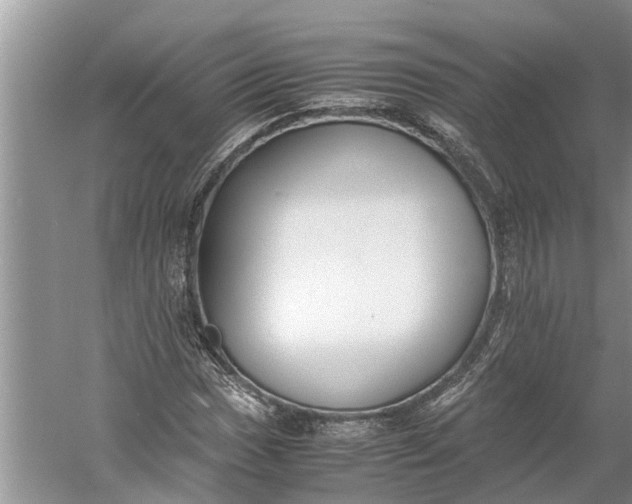 X0000060571017200511171626