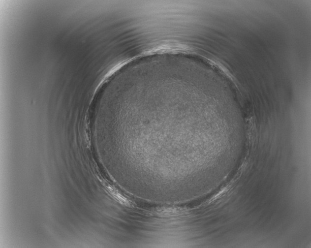 X0000060571018200511171626