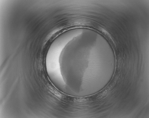 X0000060571019200511171626