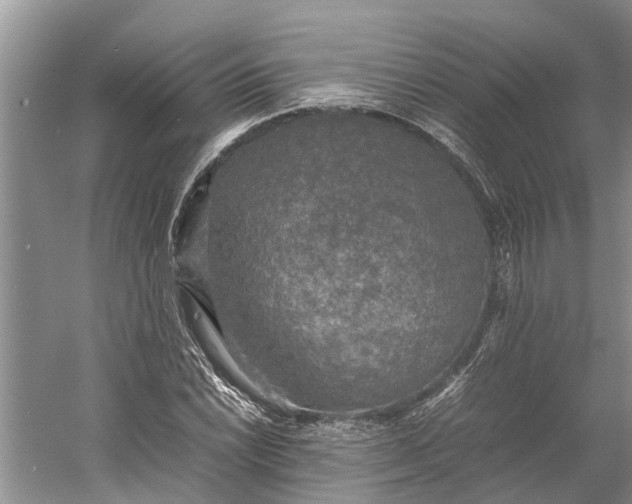 X0000060571022200511171626