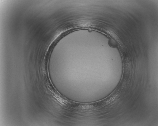 X0000060571023200511171626