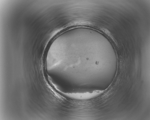 X0000060571024200511171626