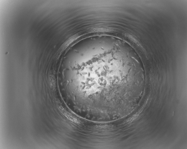 X0000060571025200511171626