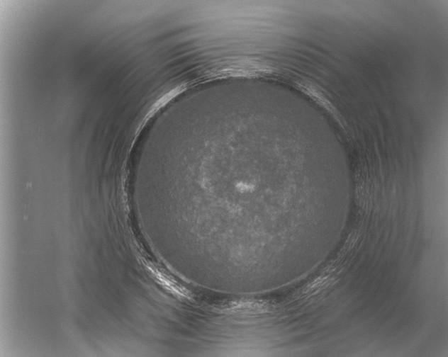 X0000060571026200511171626